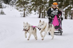 Kandersteg 2014 WM