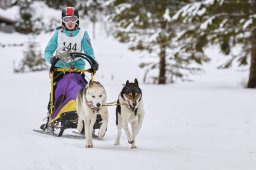 Kandersteg 2014 WM