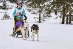 Kandersteg 2014 WM