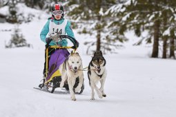 Kandersteg 2014 WM