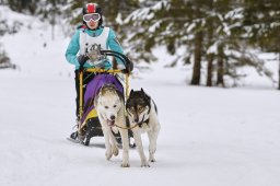 Kandersteg 2014 WM