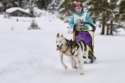 Kandersteg 2014 WM