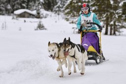 Kandersteg 2014 WM