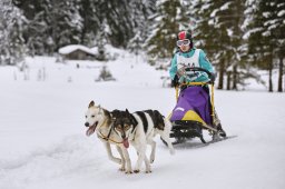 Kandersteg 2014 WM