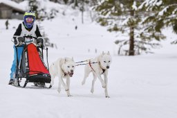 Kandersteg 2014 WM