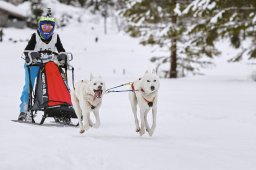 Kandersteg 2014 WM