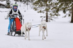 Kandersteg 2014 WM