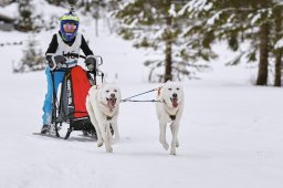 Kandersteg 2014 WM