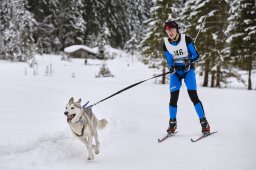 Kandersteg 2014 WM