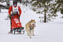 Kandersteg 2014 WM