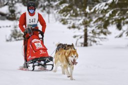 Kandersteg 2014 WM