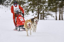 Kandersteg 2014 WM