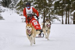 Kandersteg 2014 WM