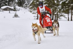 Kandersteg 2014 WM