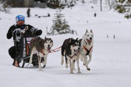 Kandersteg 2014 WM