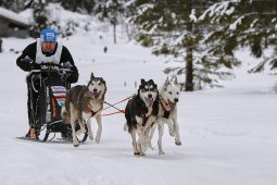 Kandersteg 2014 WM