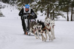 Kandersteg 2014 WM