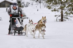 Kandersteg 2014 WM