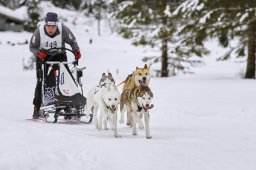 Kandersteg 2014 WM