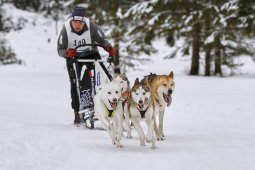 Kandersteg 2014 WM