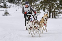 Kandersteg 2014 WM