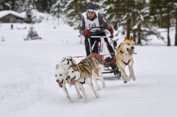 Kandersteg 2014 WM