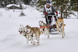 Kandersteg 2014 WM