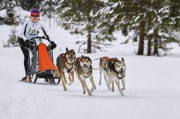 Kandersteg 2014 WM