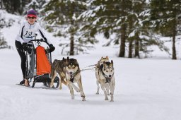 Kandersteg 2014 WM