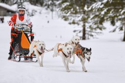 Kandersteg 2014 WM