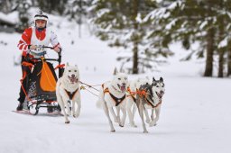 Kandersteg 2014 WM