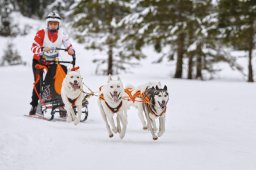 Kandersteg 2014 WM