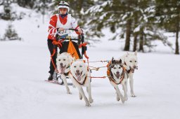 Kandersteg 2014 WM