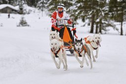 Kandersteg 2014 WM