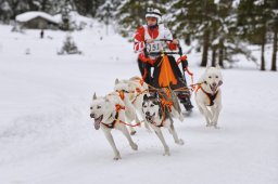 Kandersteg 2014 WM