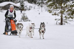 Kandersteg 2014 WM