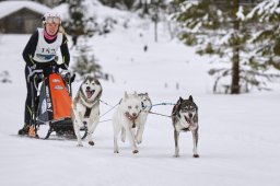 Kandersteg 2014 WM