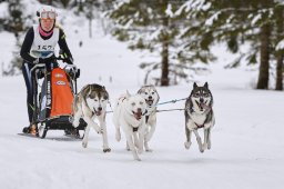 Kandersteg 2014 WM