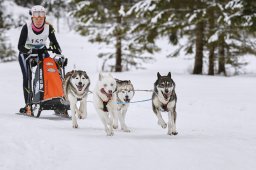 Kandersteg 2014 WM