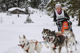 Kandersteg 2014 WM