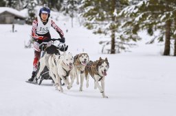 Kandersteg 2014 WM