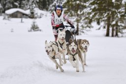 Kandersteg 2014 WM