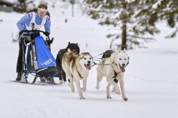 Kandersteg 2014 WM