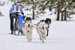 Kandersteg 2014 WM