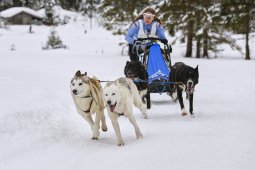 Kandersteg 2014 WM