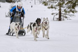 Kandersteg 2014 WM