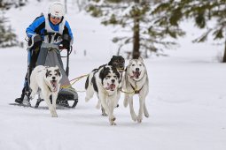 Kandersteg 2014 WM