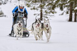 Kandersteg 2014 WM