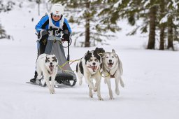 Kandersteg 2014 WM