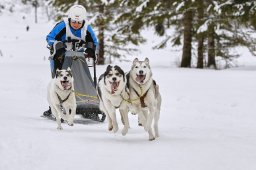 Kandersteg 2014 WM